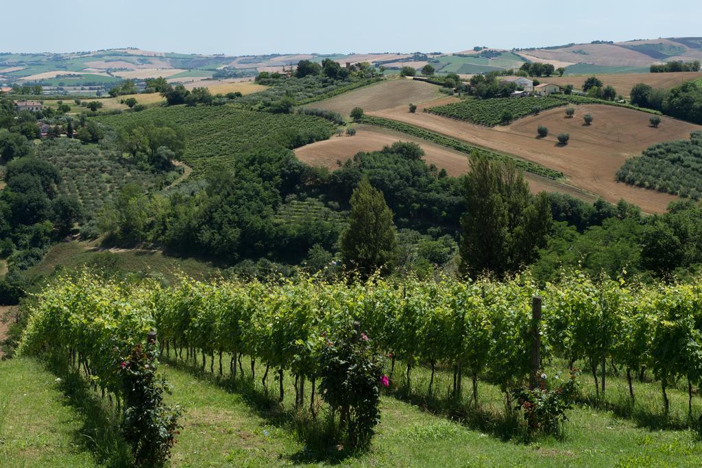 Willa Poggio Montali Monte Roberto Zewnętrze zdjęcie